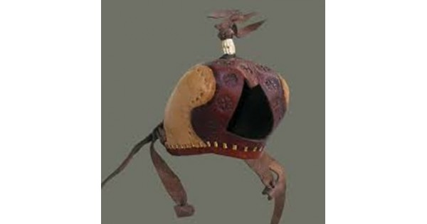Falconry Hood