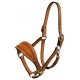 Halters