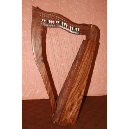 Harp 22 String