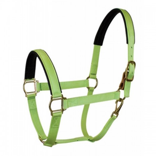 HALTER