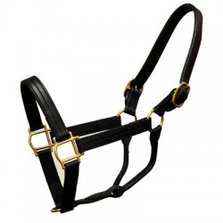 HALTER