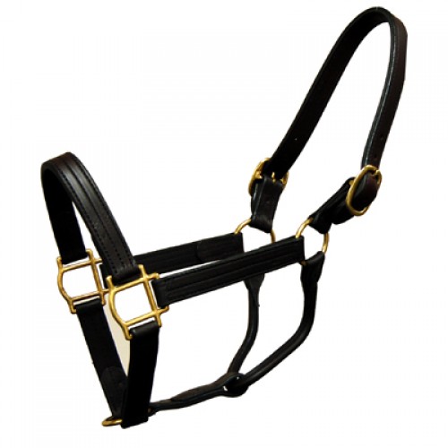 HALTER