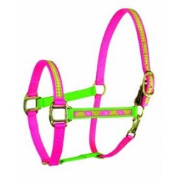 HALTER