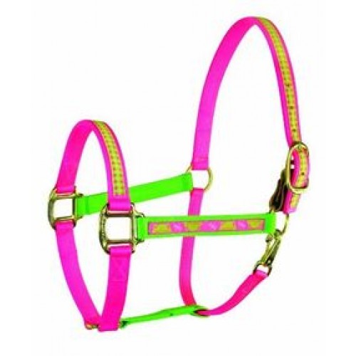 HALTER