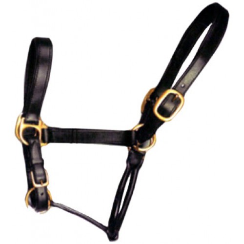 HALTER