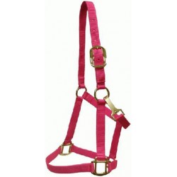 HALTER