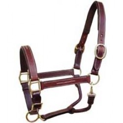 HALTER