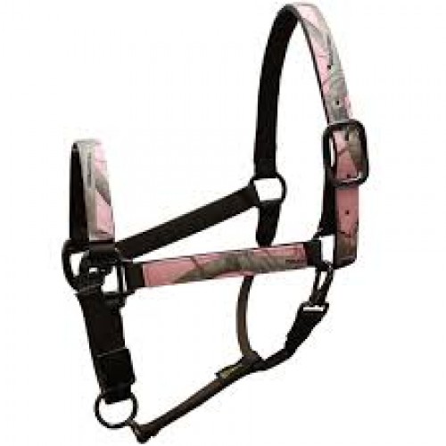 HALTER