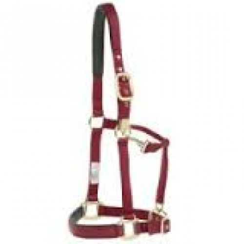 HALTER