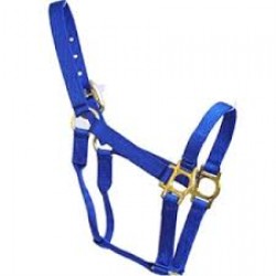 HALTER