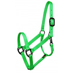 HALTER