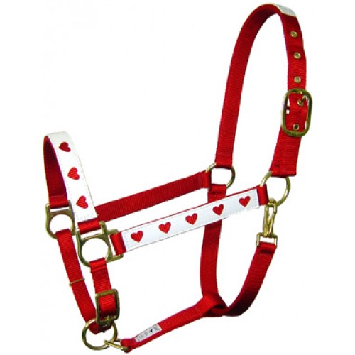 HALTER
