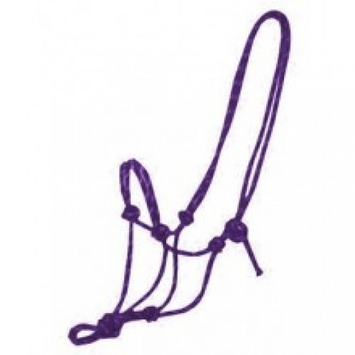 Rope Halter