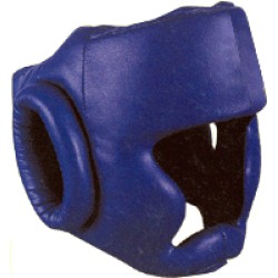 Head Guard