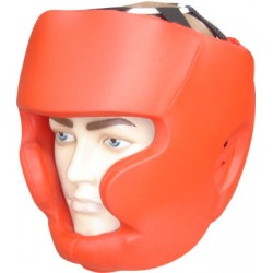 Head Guard