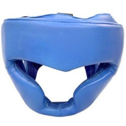 Head Guard