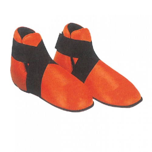 Protector Shoes