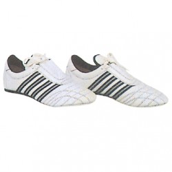 Protector Shoes
