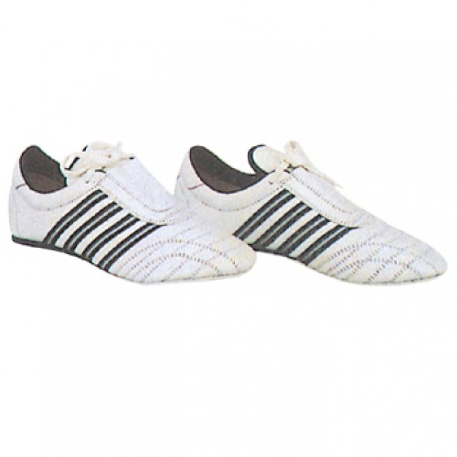 Protector Shoes