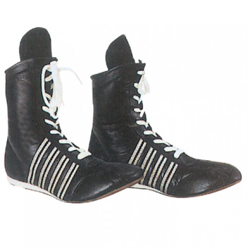 Protector Shoes