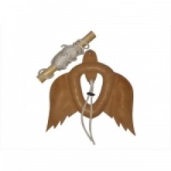 FalconryLure