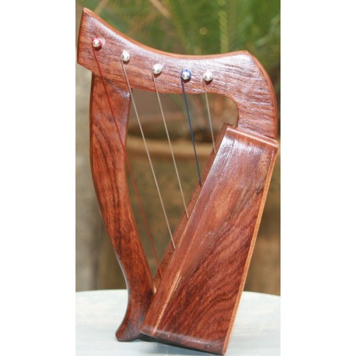 5 Strings Harp