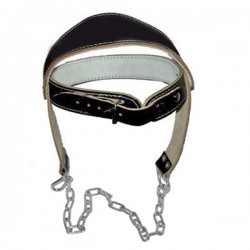 Head Harness