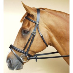Horse Bridal