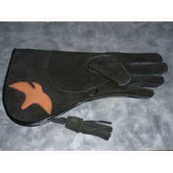 Falconry Glove