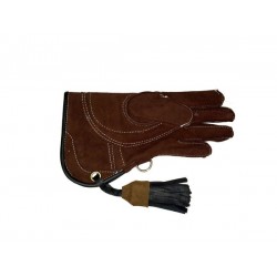 Falconry Glove