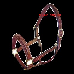 halters