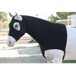 Lycra hoody