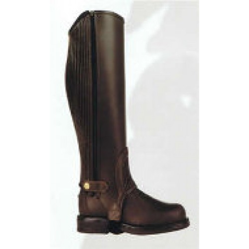 Horse chaps